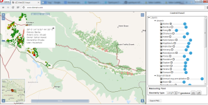 WebGIS Dienstleistungen