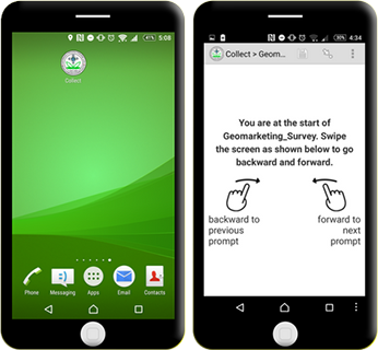 Mobile Survey App