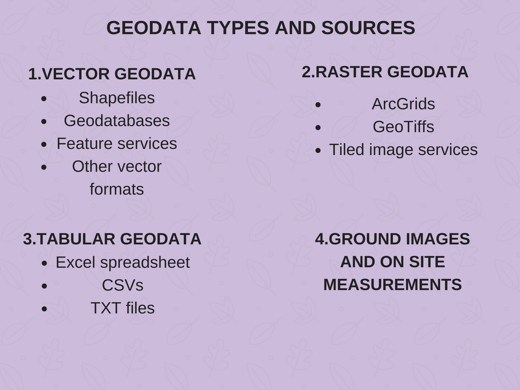 Types of geodata depending on the sources obtained from